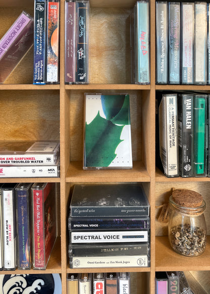 Compartment Shelf for Cassettes or Collections